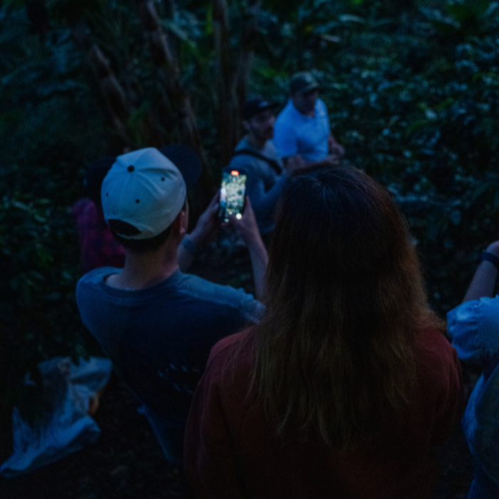 Colombia Wilder Lazo Gesha