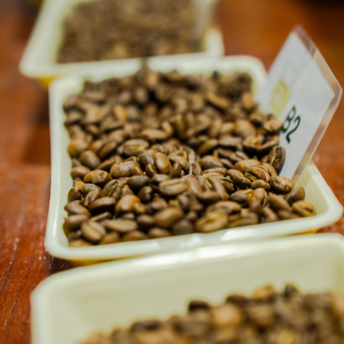 Colombia Wilder Lazo Gesha