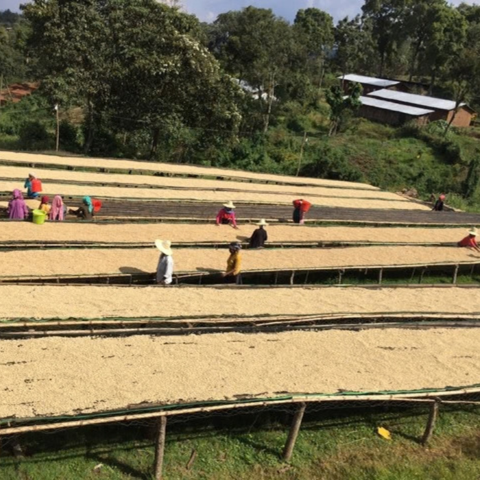 Ethiopia Anderacha Natural