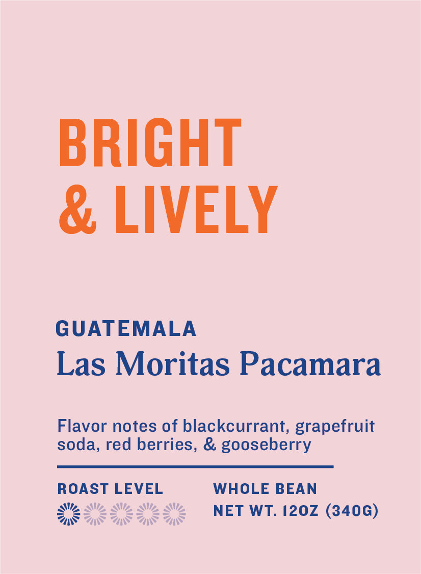 Guatemala Las Moritas Pacamara