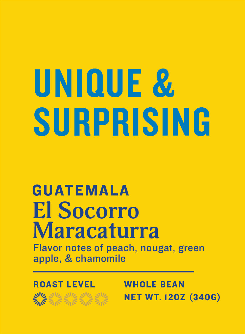 Guatemala El Socorro Maracaturra