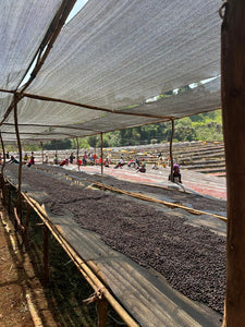 Ethiopia Faysel Abdosh Karamo