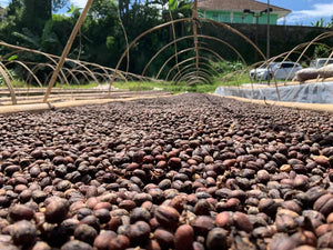 Indonesia Java Halu Anaerobic Natural